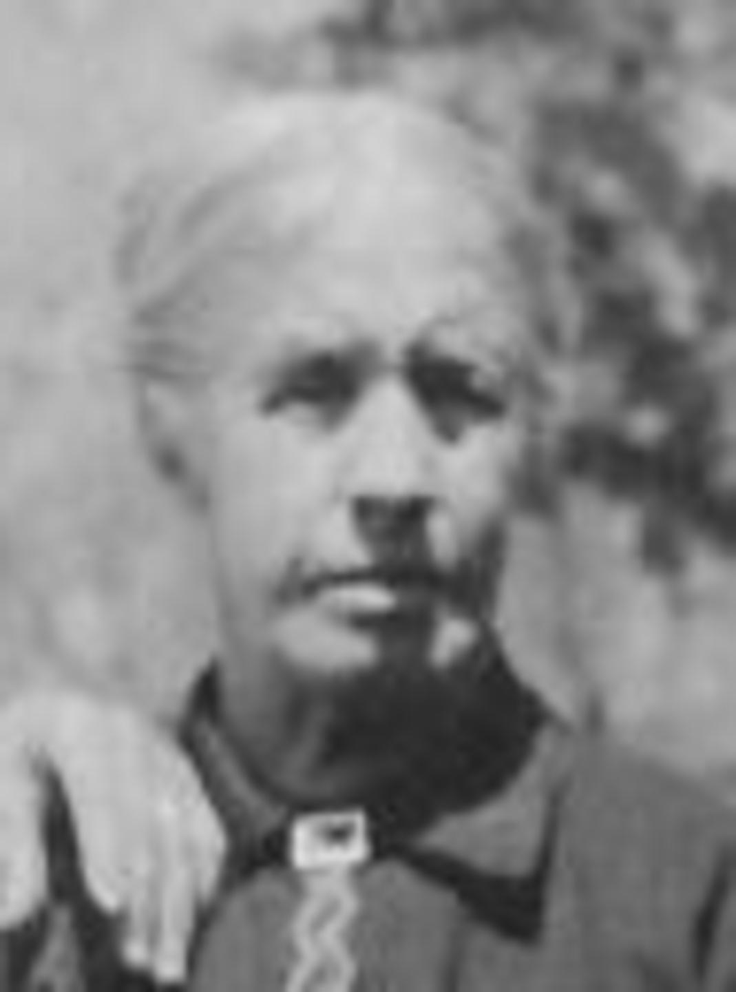 Sarah Ann Dinsdale (1844 - 1928) Profile